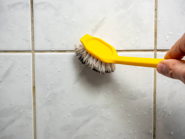 Best DIY Mold Remediation Support Services in Whippany, NJ